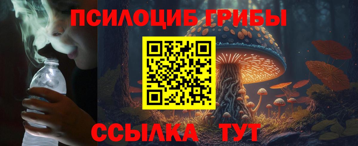 Галлюциногенные грибы Cubensis Коряжма